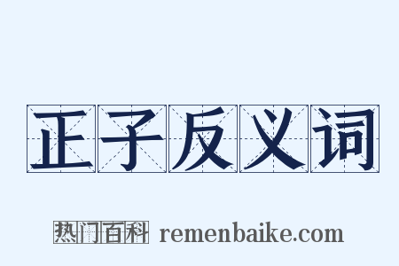 正子反义词是什么意思的图片